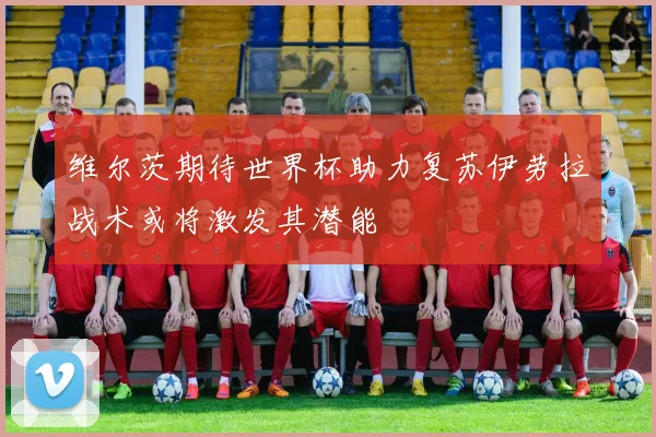 维尔茨期待世界杯助力复苏伊劳拉战术或将激发其潜能